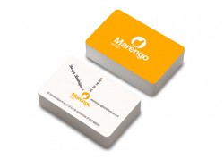 Translucent plastic business cards